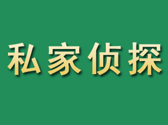 山南市私家正规侦探